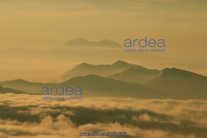 : Pokhara mountains at dawn : Pokhara mountains at dawn
