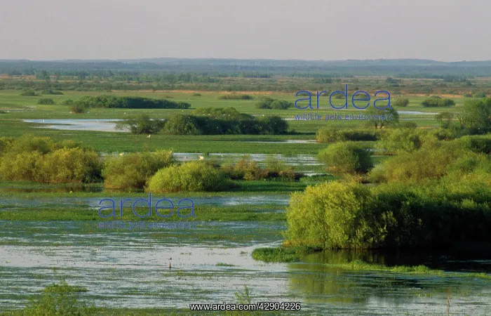  : Poland. Biebrza Marsh National Park