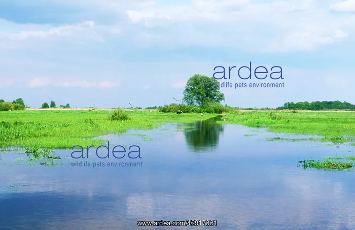  : POLAND - Biebrza Marsh