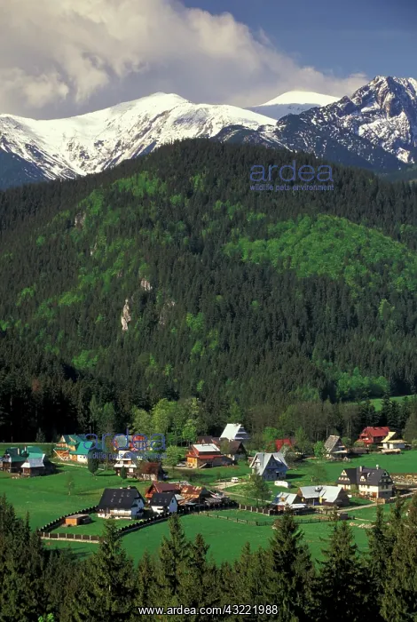 : Poland, Carpathian Mountains, Zakopane : Poland, Carpathian Mountains, Zakopane