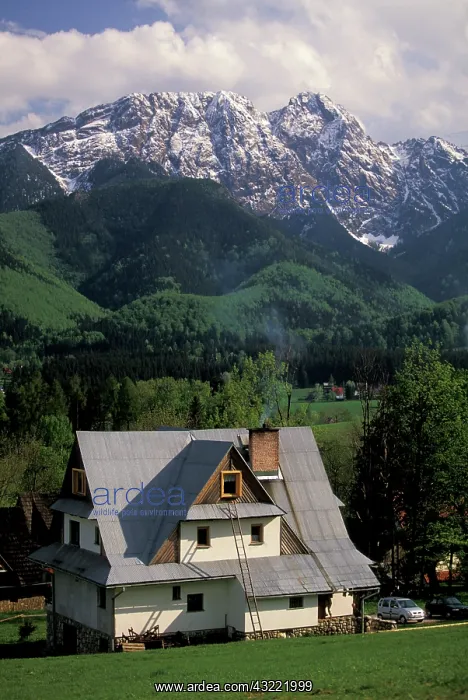 : Poland, Carpathian Mountains, Zakopane : Poland, Carpathian Mountains, Zakopane