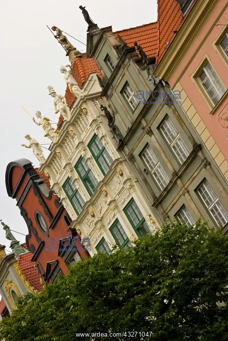 : Poland, Gdansk. Row houses in Old Town : Poland, Gdansk. Row houses in Old Town