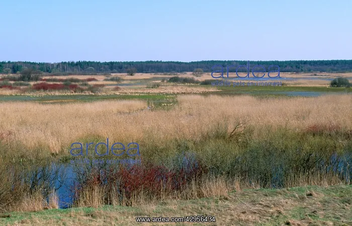 : Poland - North East : Poland - North East
