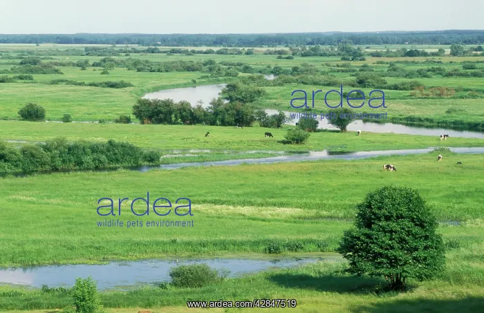 : Poland - Wetland : Poland - Wetland