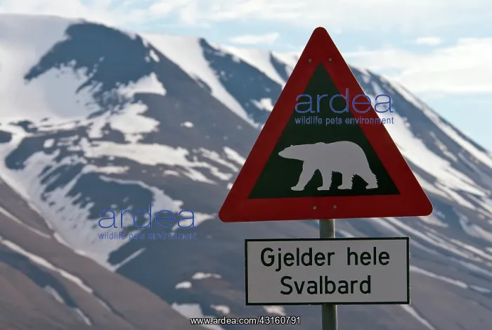 : Polar Bear warning sign with snow-covered mountains in the b : Polar Bear warning sign with snow-covered mountains in the b