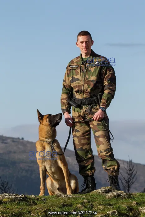 : Policeman and dog specializing in advocacy and research : Policeman and dog specializing in advocacy and research