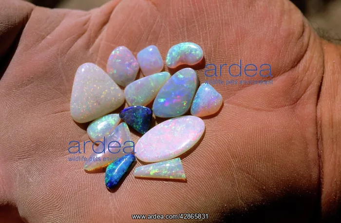 : Polished opal held in palm of hand Coober Pedy : Polished opal held in palm of hand Coober Pedy