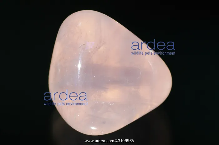 : Polished Rose Quartz Gemstone : Polished Rose Quartz Gemstone