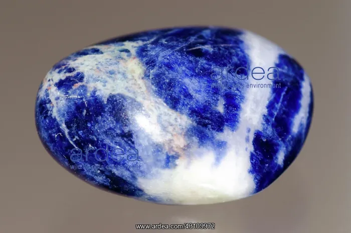 : Polished Sodalite Gemstone : Polished Sodalite Gemstone