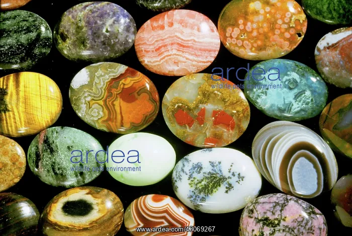 : Polished Stones : Polished Stones