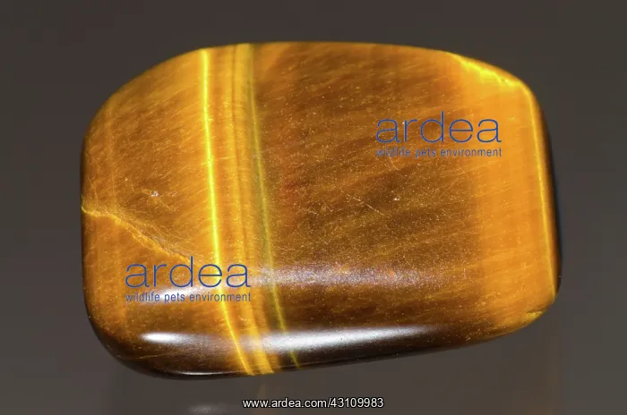 : Polished Tigereye : Polished Tigereye