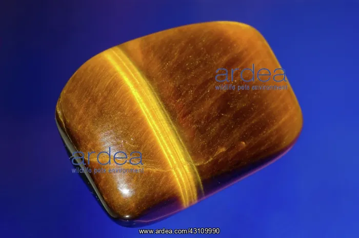 : Polished Tigereye : Polished Tigereye