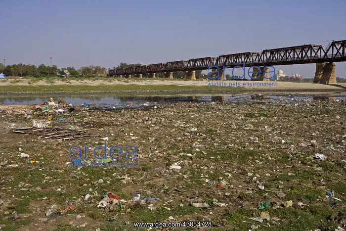 : Polluted banks of the Yamouna river Agra Uttar Pradesh : Polluted banks of the Yamouna river Agra Uttar Pradesh