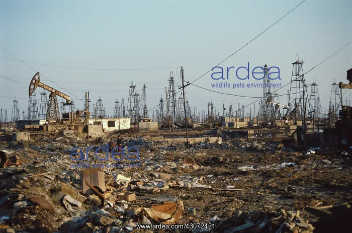 : Polluted Oilfield, Azerbaijan : Polluted Oilfield, Azerbaijan