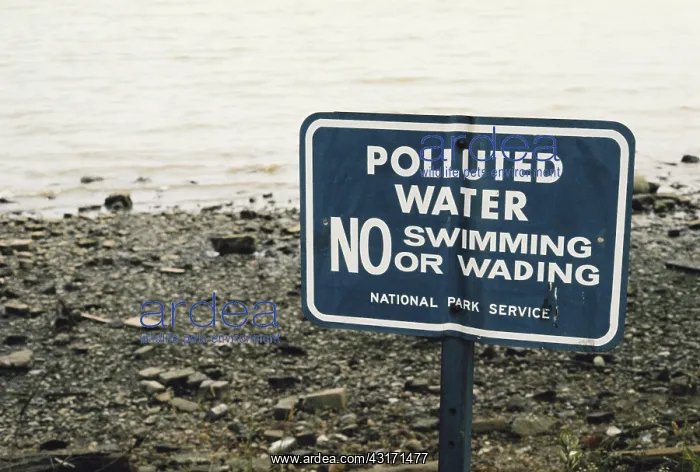: Polluted Potomac River : Polluted Potomac River