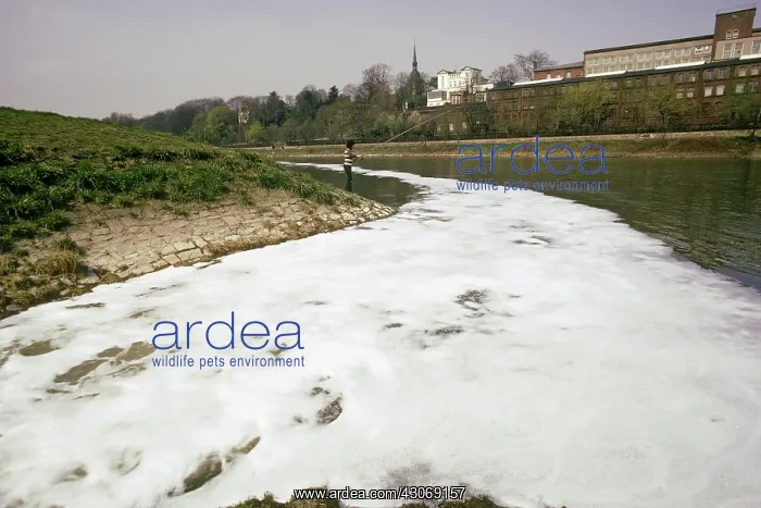 : Polluted River : Polluted River