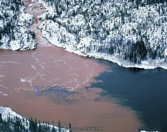 : Polluted River : Polluted River