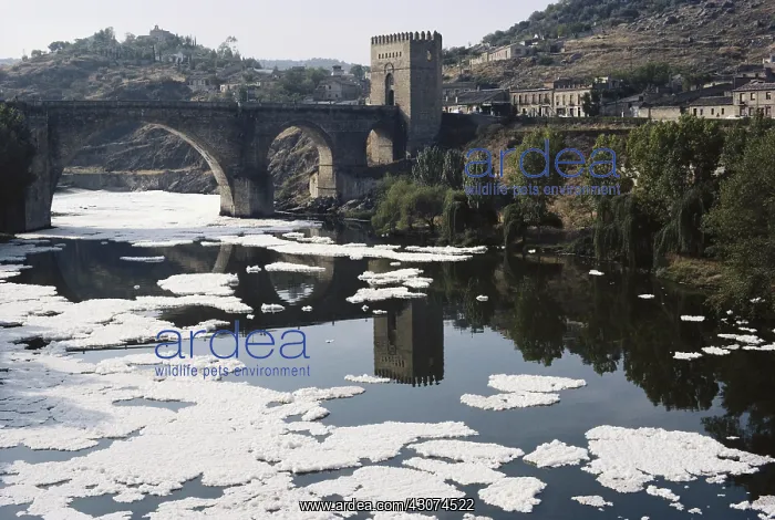 : Polluted Tajo River, Toledo, Spain : Polluted Tajo River, Toledo, Spain