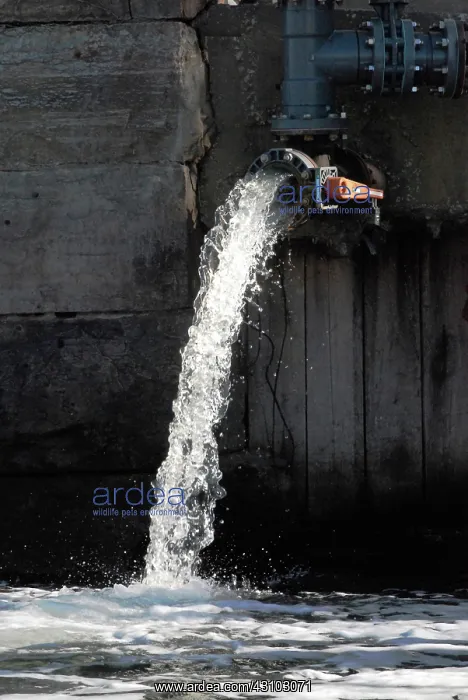  : Polluted Water Pouring into Newtown Creek, NYC