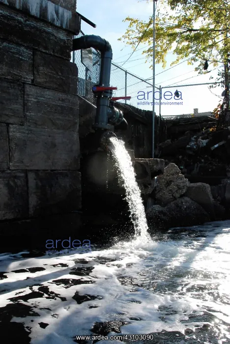 : Polluted Water Pouring into Newtown Creek, NYC : Polluted Water Pouring into Newtown Creek, NYC