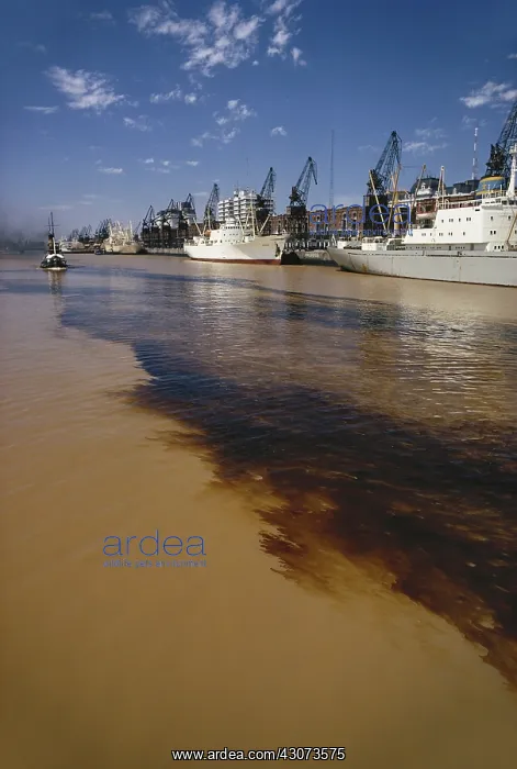 : Polluted Water, Rio de la Plata, Argentina : Polluted Water, Rio de la Plata, Argentina