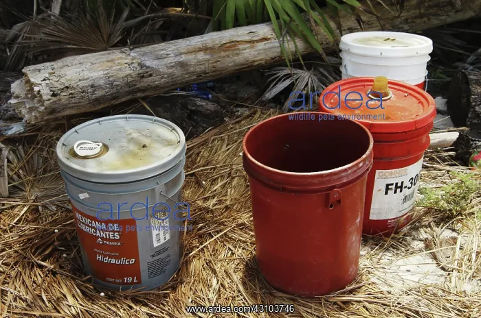 : Pollution. Buckets of hydraulic fluid containing mineral oil dumped on : Pollution. Buckets of hydraulic fluid containing mineral oil dumped on
