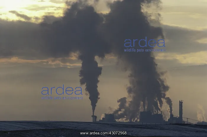 : Pollution from Agricultural Processing Plant : Pollution from Agricultural Processing Plant