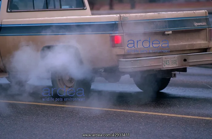 : POLLUTION - from car exhaust fumes : POLLUTION - from car exhaust fumes