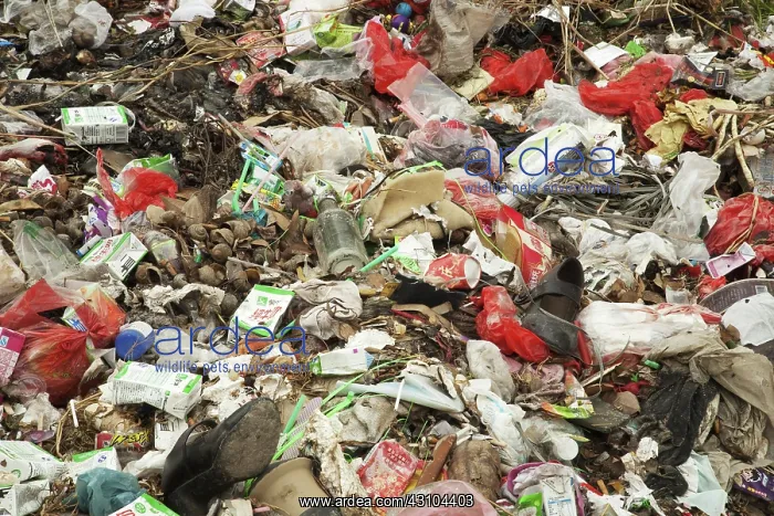 : Pollution in China : Pollution in China