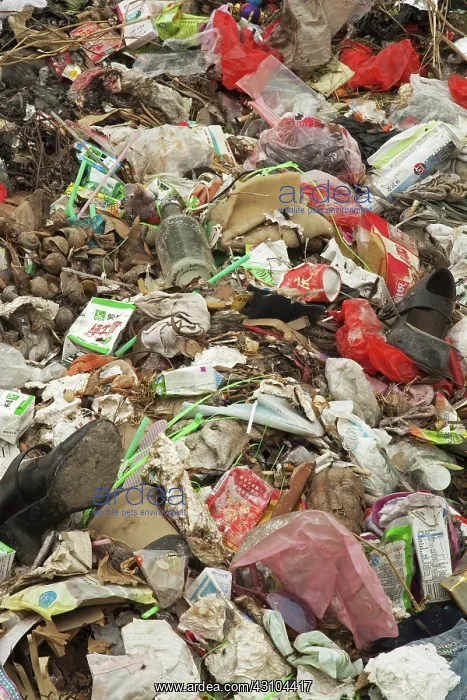 : Pollution in China : Pollution in China