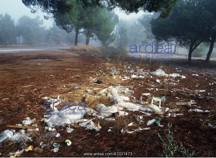 : POLLUTION - Littering in tourist area : POLLUTION - Littering in tourist area
