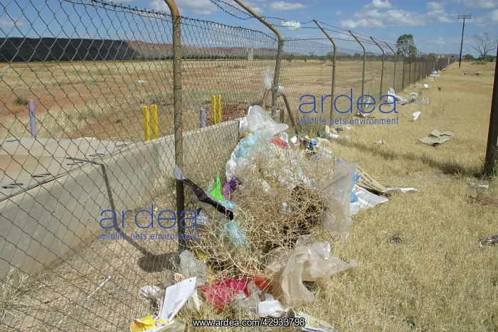 : Pollution - Plastic bags, not able to be buried : Pollution - Plastic bags, not able to be buried