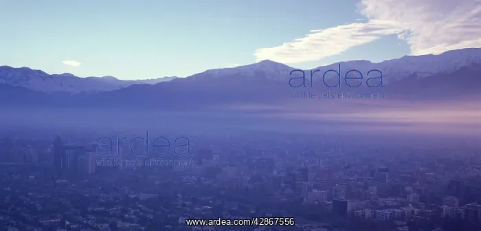 : Pollution - over Santiago : Pollution - over Santiago