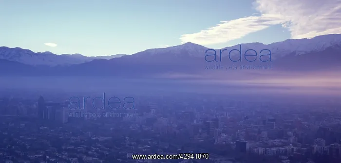 : Pollution over Santiago, Chile : Pollution over Santiago, Chile