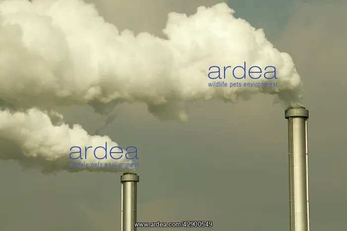 : POLLUTION - Smoke bellows from chimneys of factory : POLLUTION - Smoke bellows from chimneys of factory