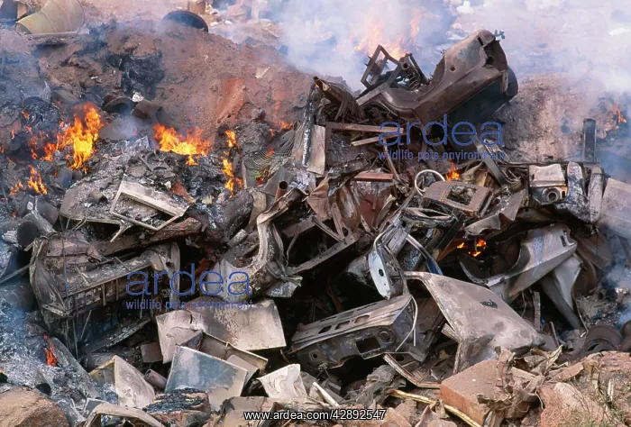 : Pollution - Waste disposal, cars being incinerated : Pollution - Waste disposal, cars being incinerated