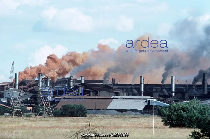 : POLLUTION - Witbank, Transvaal : POLLUTION - Witbank, Transvaal
