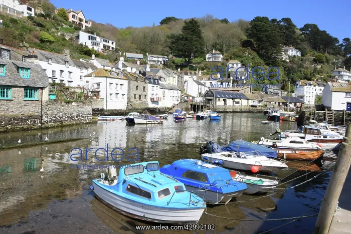 : Polperro - low tide in the fishing village : Polperro - low tide in the fishing village