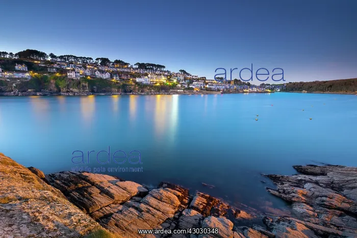  : Polruan in the Evening - Cornwall - UK