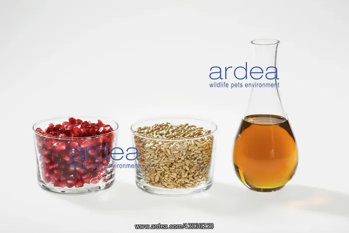 : Pomegranate : Pomegranate