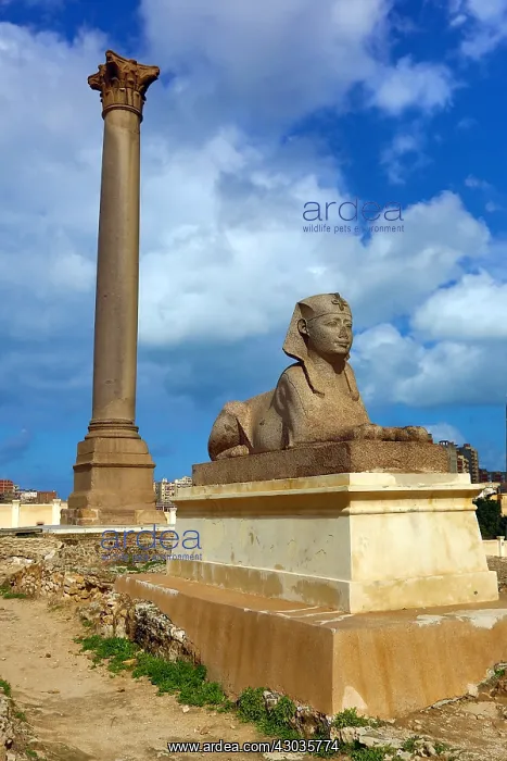 : Pompey's Pillar, a triumphal memorial column : Pompey's Pillar, a triumphal memorial column