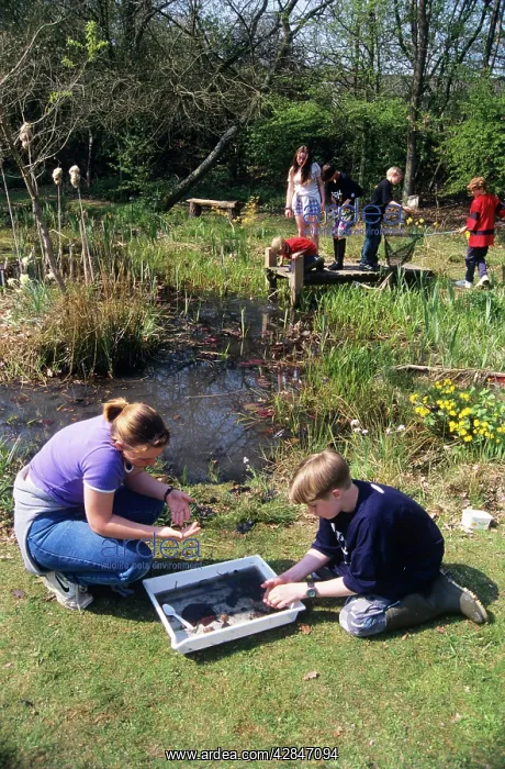  : Pond Dipping - children