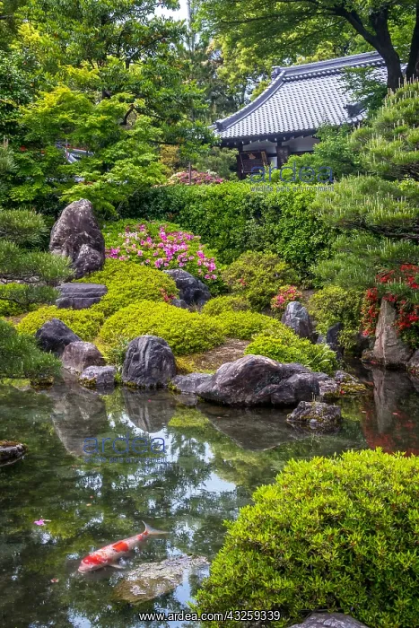 : Pond at Jonangu Temple, Kyoto, Japan : Pond at Jonangu Temple, Kyoto, Japan