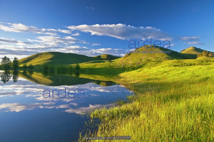 : Pond reflects at days end in the Bears Paw : Pond reflects at days end in the Bears Paw