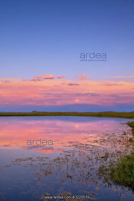 : Pond reflects sunset clouds near Augusta : Pond reflects sunset clouds near Augusta