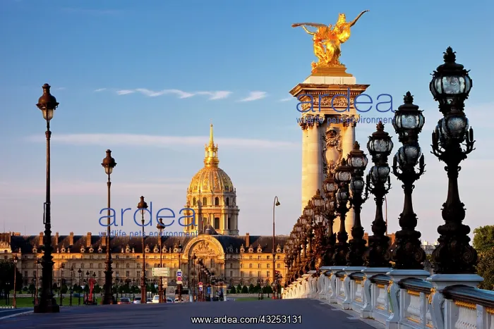 : Pont Alexandre III over the River Seine : Pont Alexandre III over the River Seine
