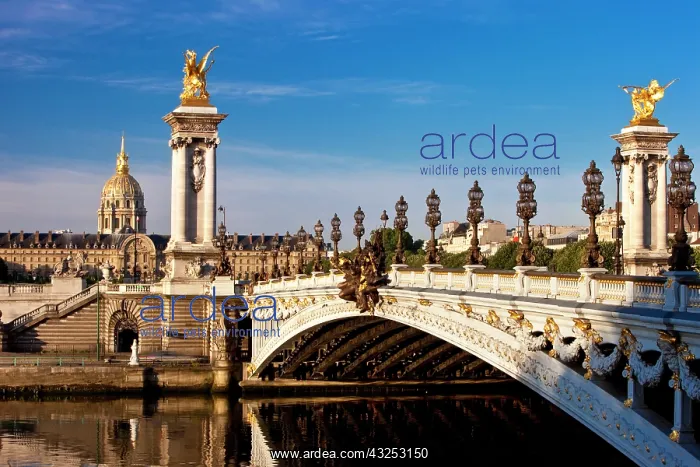: Pont Alexandre III over the River Seine : Pont Alexandre III over the River Seine