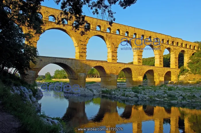 : Pont du Gard, Roman aqueduct, Gard department, Provence : Pont du Gard, Roman aqueduct, Gard department, Provence