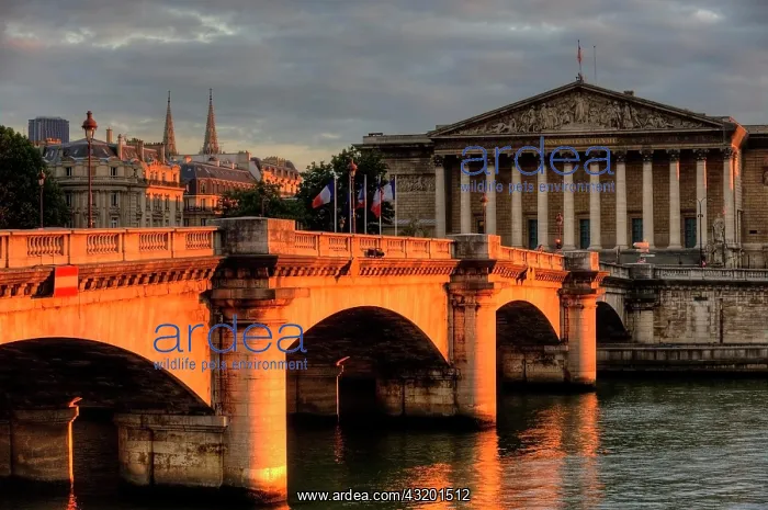 : Pont de la Concorde bridge, Paris, Ile-de-France : Pont de la Concorde bridge, Paris, Ile-de-France