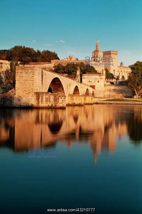 : Pont St Benezet over River Rhone with Palais : Pont St Benezet over River Rhone with Palais
